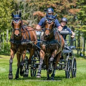 Meet your Posher, Alison